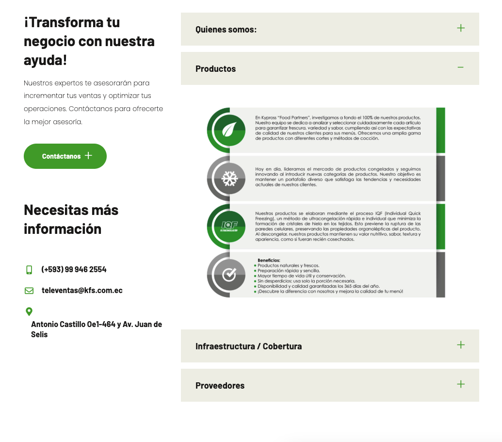 Proyecto web Kypross / KFS — vista 4