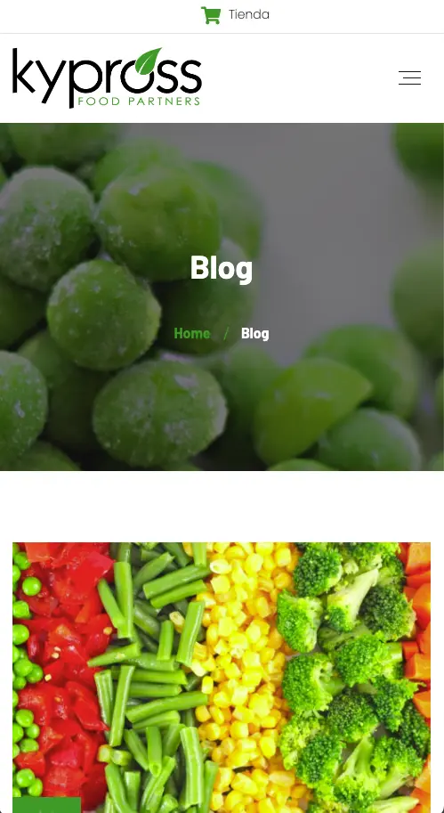Proyecto web Kypross / KFS — vista 5